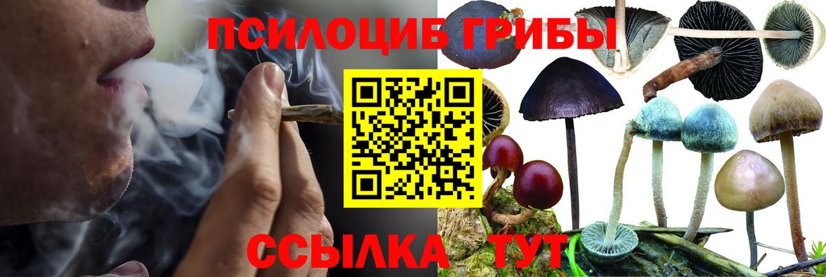 Галлюциногенные грибы мицелий  Галлюциногенные грибы Magic Shrooms  Рязань  Вход с VPN 